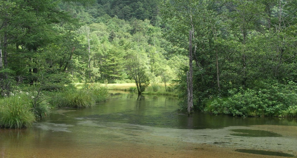 浮気調査長野